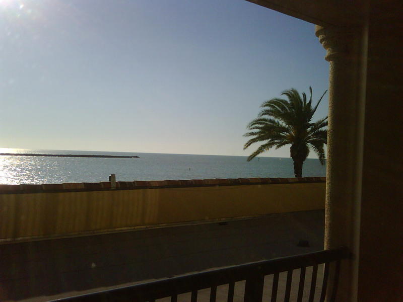IMG00055-20081203-1531