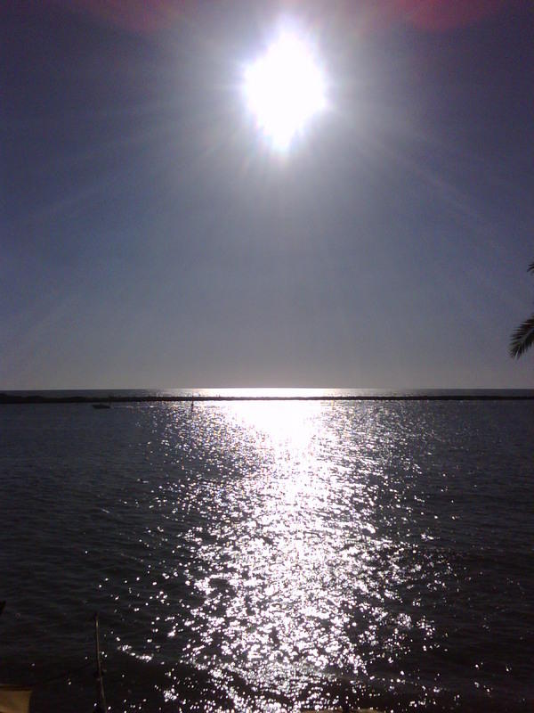 IMG00064-20081203-1537