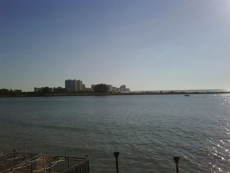 IMG00065-20081203-1537