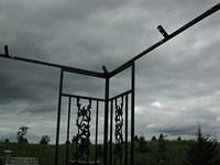 DSCN3087