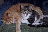 Bud and Suzy