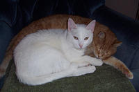 Sammi Jo and Bud