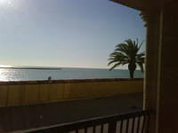 IMG00055-20081203-1531