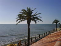IMG00059-20081203-1536