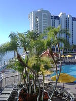 IMG00061-20081203-1536