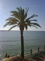 IMG00062-20081203-1536