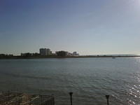 IMG00065-20081203-1537