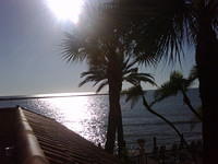 IMG00071-20081203-1537