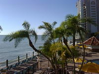 IMG00072-20081203-1537