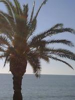 IMG00074-20081203-1538