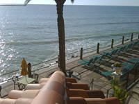 IMG00075-20081203-1538
