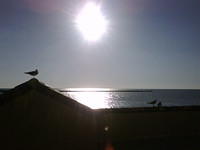 IMG00078-20081203-1601