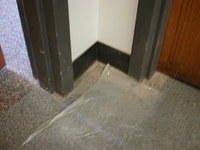 Picture 009