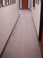 Picture 010