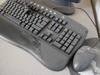 Picture 011